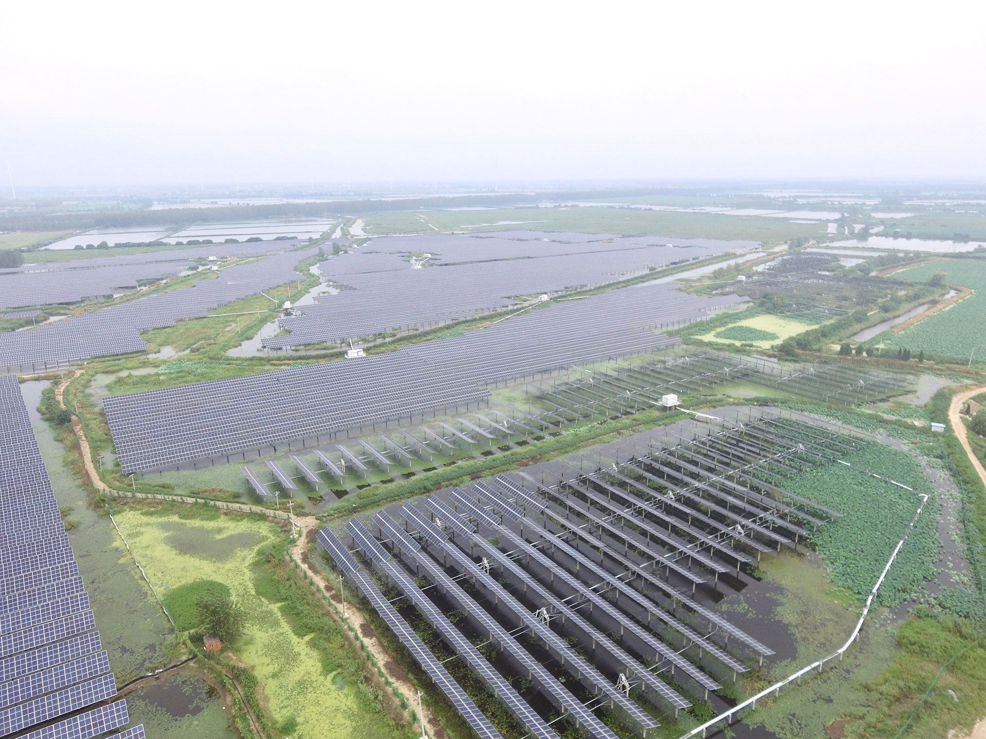 太阳集团·(中国)科技江苏扬州宝应光伏发电应用领跑基地2号100兆瓦项目